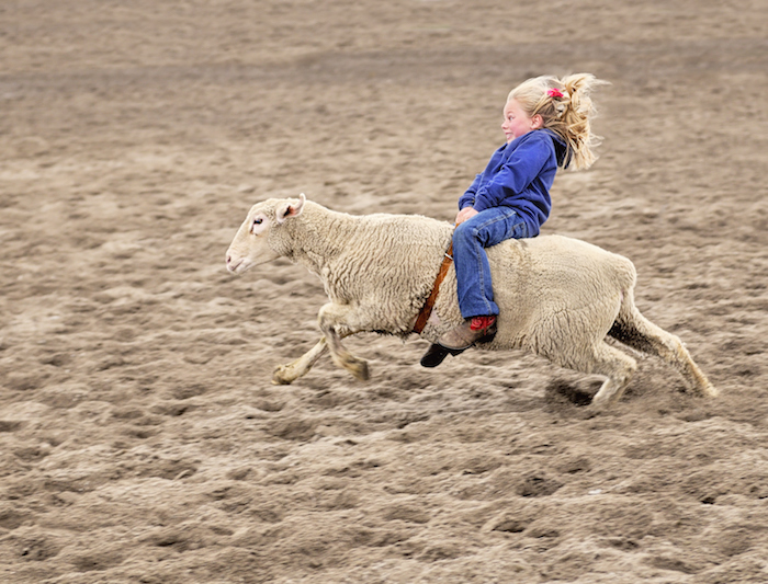 Silver Spurs Rodeo - Kissimmee Florida