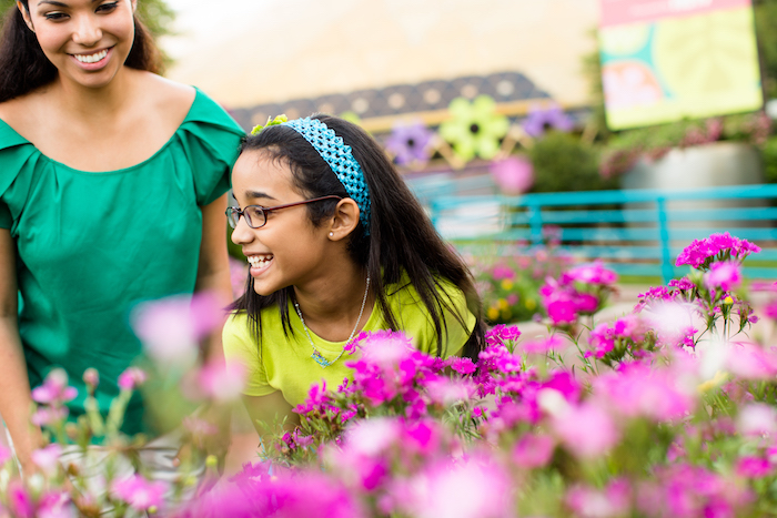 The Epcot® International Flower & Garden Festival 